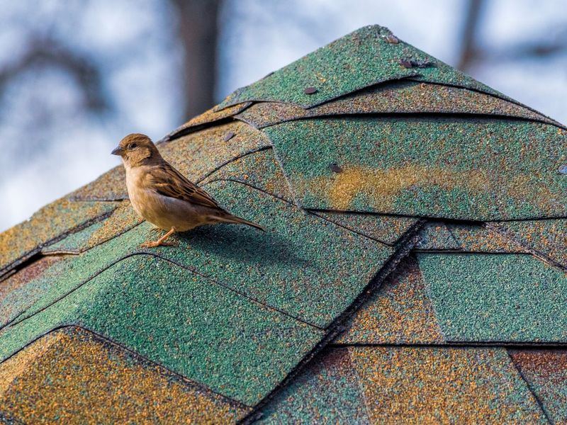 Roofing job in the Downtown Sioux Falls neighborhood of Sioux Falls
